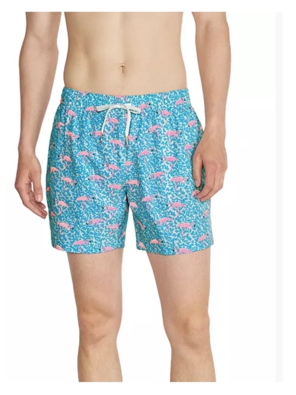 Chubbies The Domingos Are For Flamingos 5.5" Swim Trunks Shorts Aqua Pink  Large